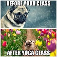 before_after